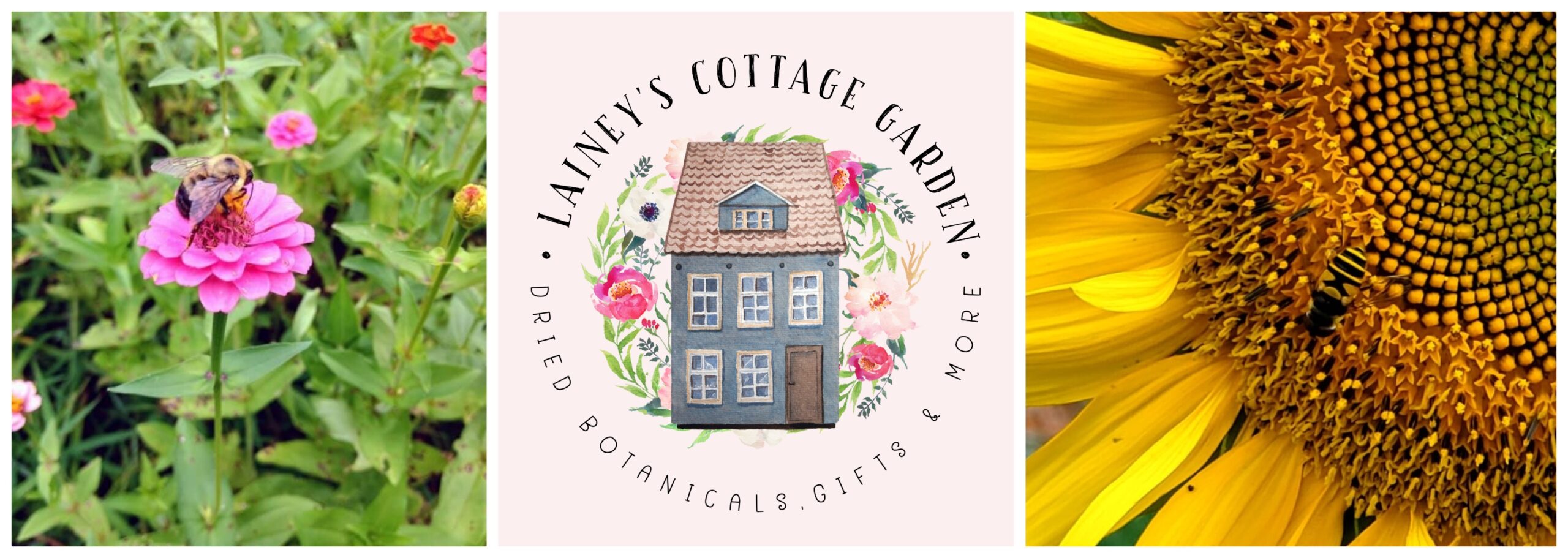 Lainey's Cottage Garden